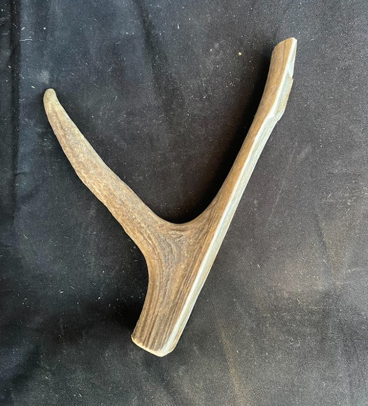 Sustainability of Antlers – Antler Chew